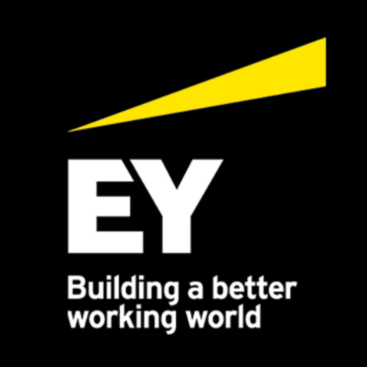 EY Colombia website